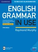 English Grammar In Use Book With Answers And Interactive Ebook