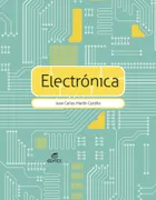 Electronica 2024