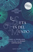 La Seta Del Fin Del Mundo