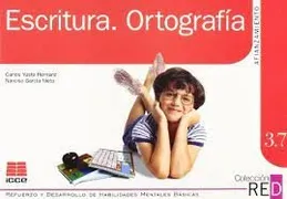 Escritura, Ortografía
