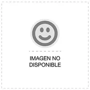 Inscripciones Romanas En La Provincia De Palencia