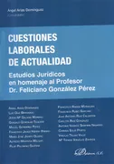 Cuestiones Laborales De Actualidad