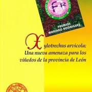 Xylotrechus Arvicola Una Nueva Amenaza Par
