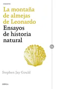 La Montaña De Almejas De Leonardo
